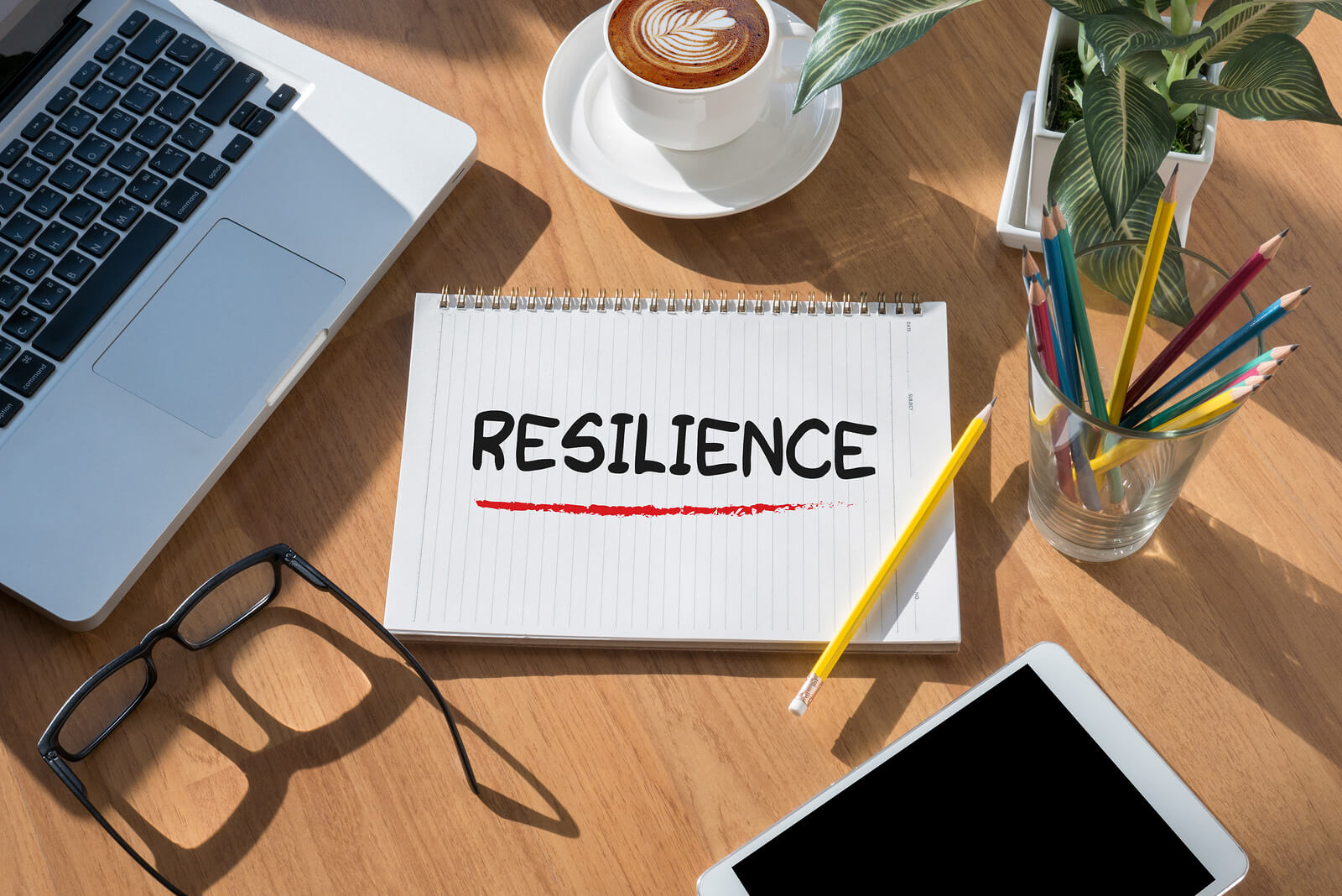 Cómo potenciar la resiliencia de los empleados en la empresa? | Capital  Humano